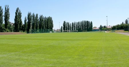 fagus Hotel Conference & Spa****