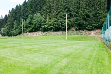 Trainingsplatz Waldbach