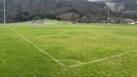 Naturrasenplatz Nußdorf