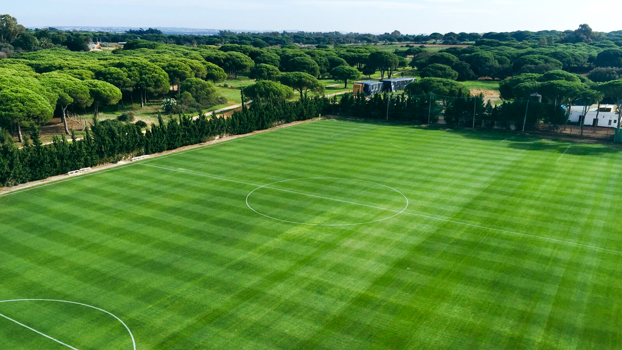 Perfekter Naturrasenplatz umgeben von malerischen Pinienw&auml;ldern in sonniger Lage.